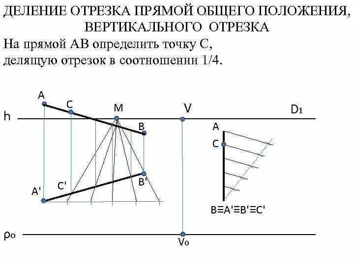 Точка разделяет прямую на