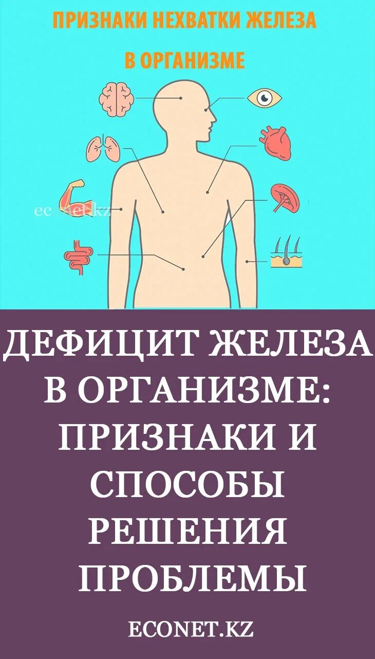 Дефицит железа в организме симптомы. Нехватка железа симптомы. Признаки дефицита железа. Признаки нехватки железа.