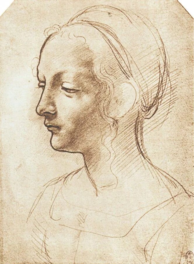 Рисунки эпохи возрождения. Леонардо Давинчи Графика портрет. Давинчи эпоха Возрождения портрет. Ренессанс Леонардо да Винчи. Леонардо да Винчи женский портрет в профиль.