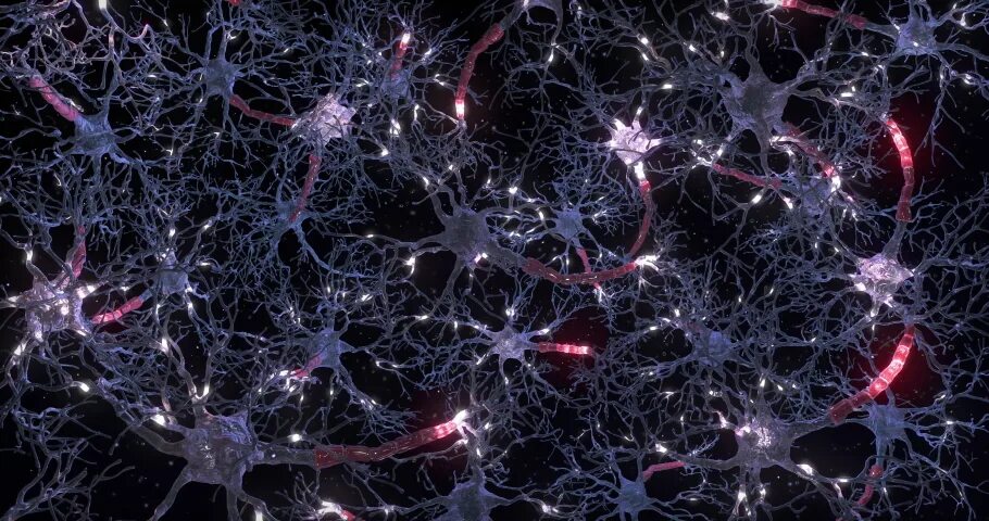 Neuron cell