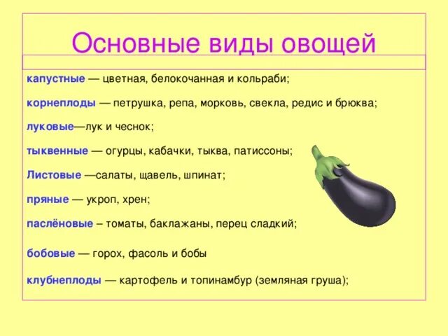 Корень в слове овощи. Виды овощей. Основные виды овощей. Сколько видов овощей существует. Сообщение о овощах.