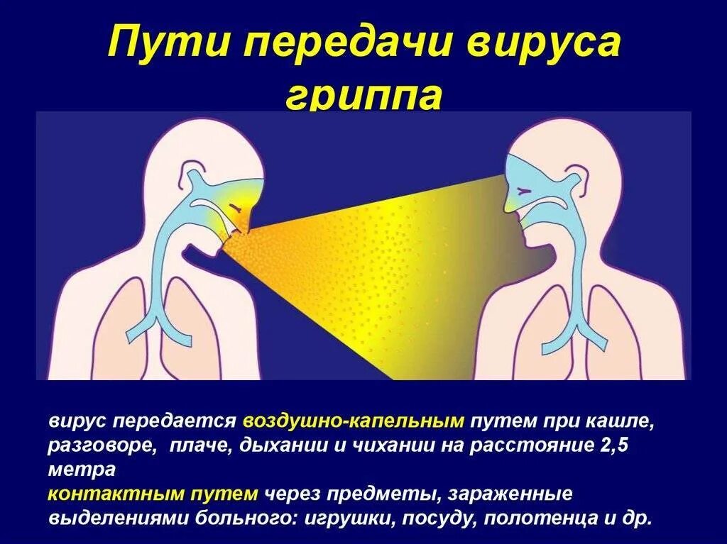 Воздушно капельный путь передачи вируса. Воздушно-капельный путь передачи гриппа. Воздушно капельные инфекции механизм заражения. Воздушно капельный путь передачи инфекции гриппа.