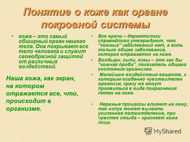 термины кожи.