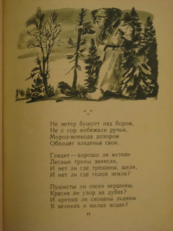 Мороз воеводой обходит. Мороз Воевода стих. Стих Мороз Воевода дозором обходит владенья. Стихотворение не ветер бушует над бором не с гор побежали ручьи. Мороз-Воевода стихотворение текст.