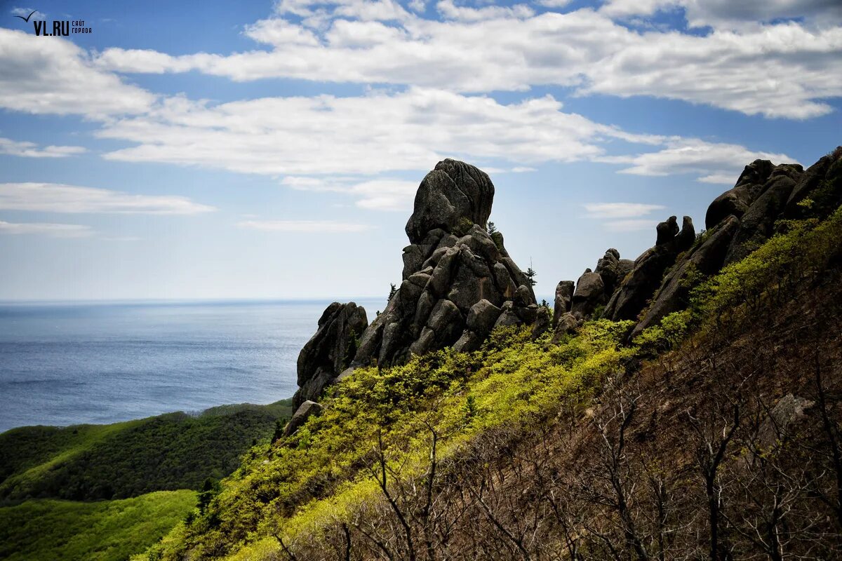 примория. карта приморского края. бухта малая окуневая приморский край. бухта восток приморский край. долина атлантов врангель.