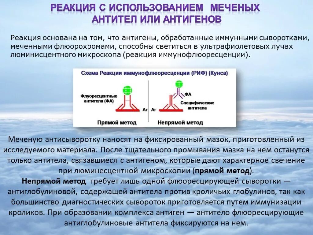 Реакцией с использованием меченых антител или. Реакции с использованием меченных антител. Реакции меченых антител или антигенов. Методы реакции с использованием меченых антител. Реакция есть значит