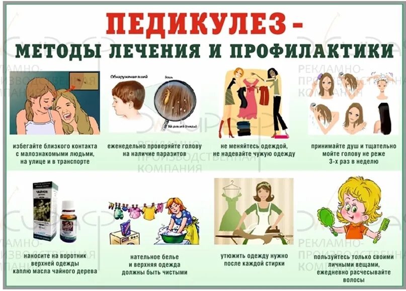 Профилактика и борьба с педикулезом. Профилактика педикулеза. профилактика по педикулезу. меры профилактики педикулеза. санбюллетень педикулез.