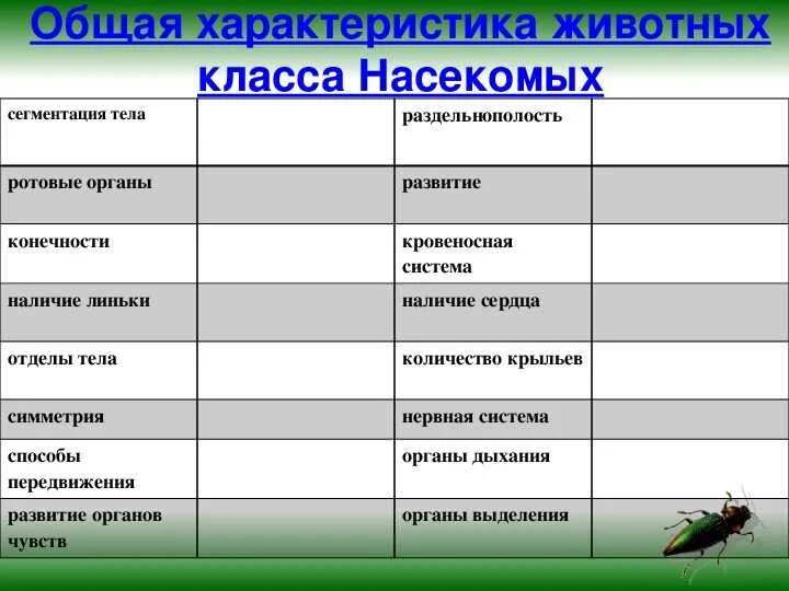 Строение и многообразие животных. Таблица насекомые 7 класс биология общая характеристика. Строение насекомых 7 класс биология таблица. Характеристика насекомых 7 класс биология. Классы насекомых таблица 7 класс биология.