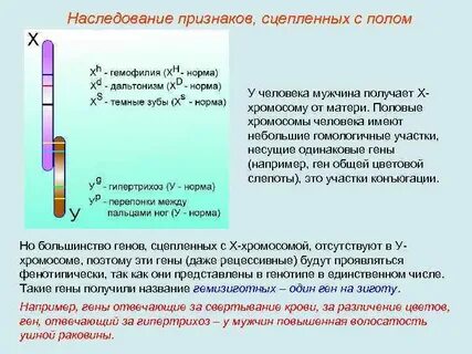 Общие гены это