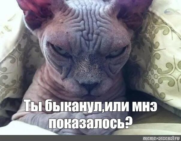Опять показалось мем. Она улыбнулась и весь мир стал светлее. Показалось мем. В жизни все наладится. Картинка ппц смешная.