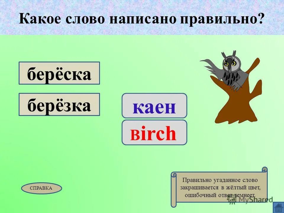 Как пишется березка. Береза как пишется правильно. Угадай как пишется. Как пишется на Березках. Как пишется юерёзка правильно.