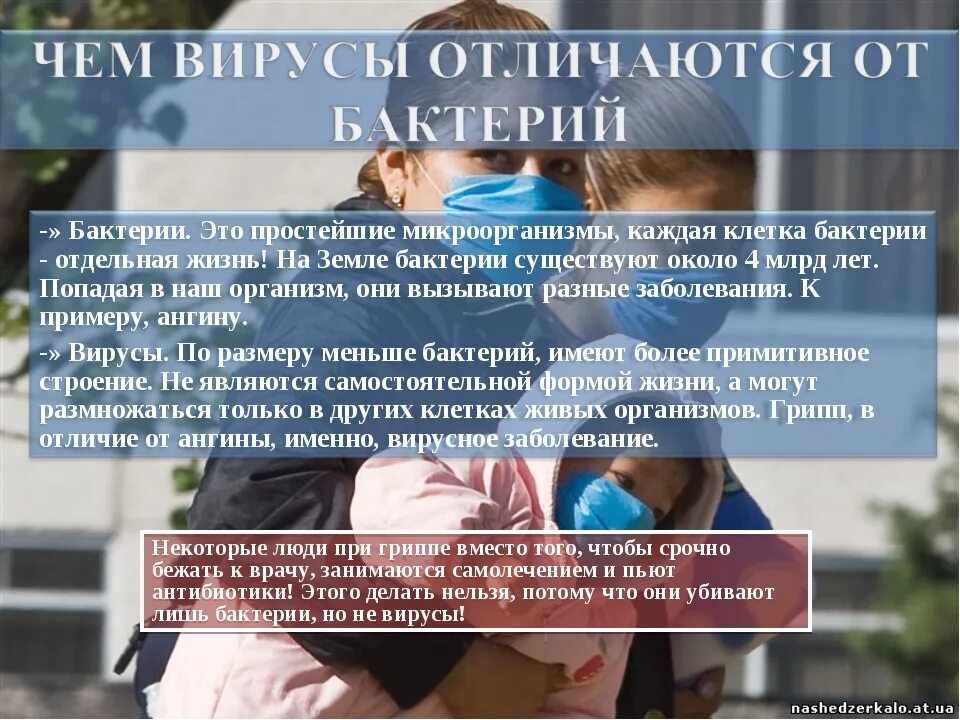 Чем отличается бактерия от вируса простыми словами. Вирусная и бактериальная инфекция отличия. Отличие вирусного и бактериального заболевания. Разница вирусной и бактериальной инфекции. Чем отличается вирус от бактерии.