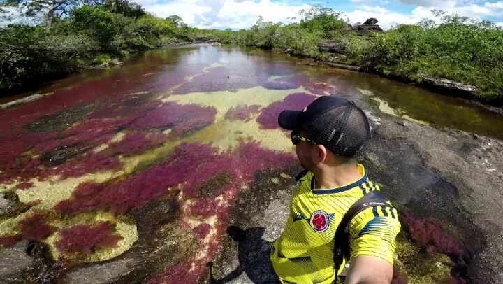 Se puede tintar los cristales delanteros en españa