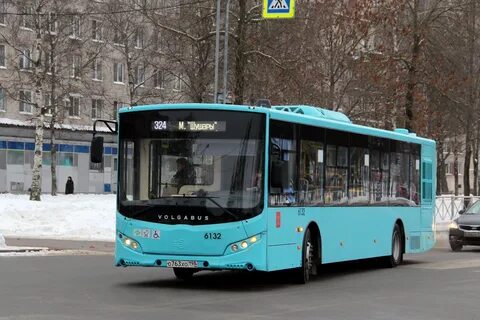 272 автобус санкт