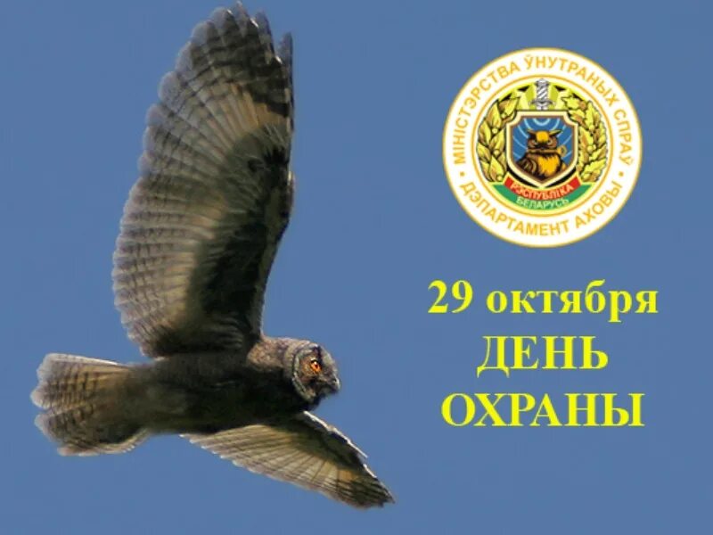 Поздравление с днем охраны в белоруссии. День департамента охраны. Награждение на день охраны. Картинка отдел охраны. День департамента охраны.