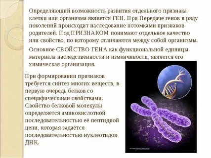 Появление у потомков признаков