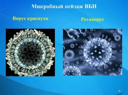 Инфекции п