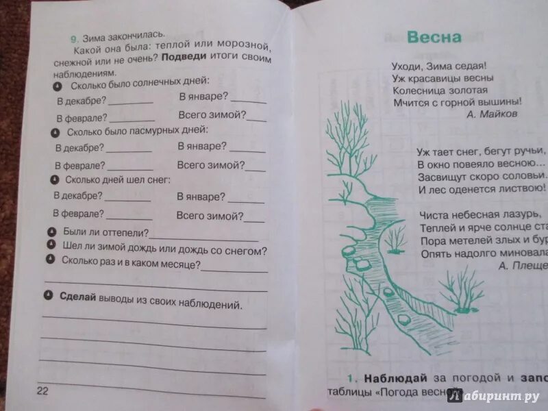 Задания наблюдения окружающий мир. Дневник наблюдений второй класс. Дневник наблюдения природы 5 класс. Дневник наблюдений книга. Дневник наблюдения летом 2 класс.