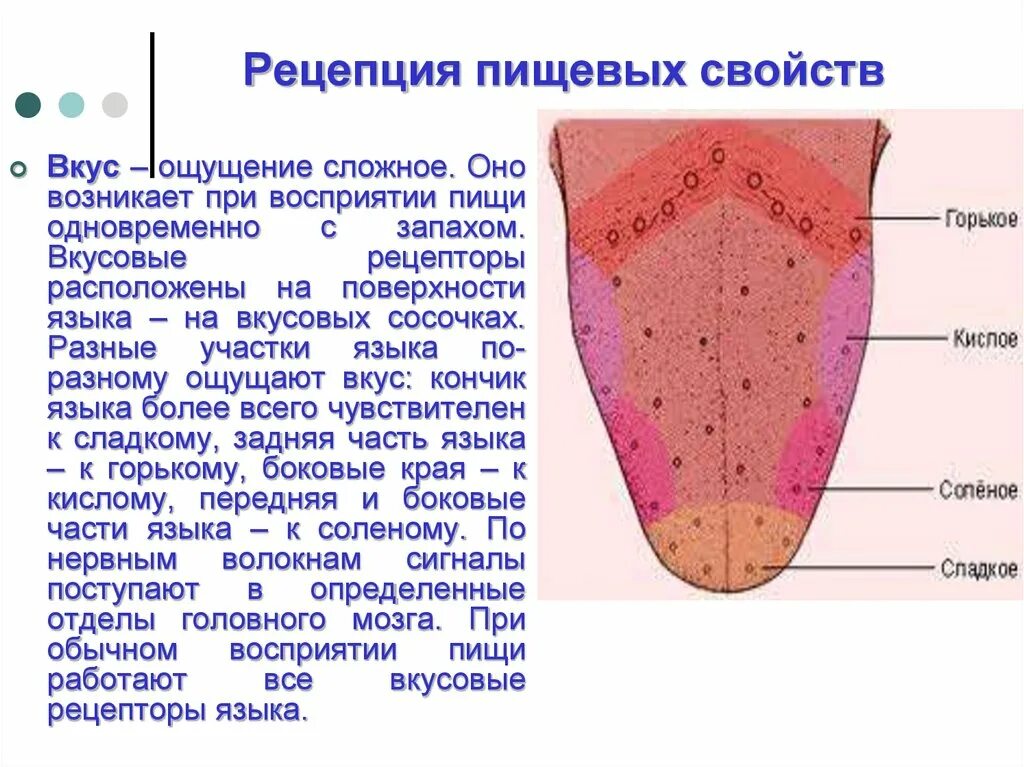 Кончик языка лучше различает. Вкусовые рецепторы хеморецепторы. Рецепторы языка человека схема. Вкусовые рецепторы на языке человека. Строение языка вкусовые рецепторы.