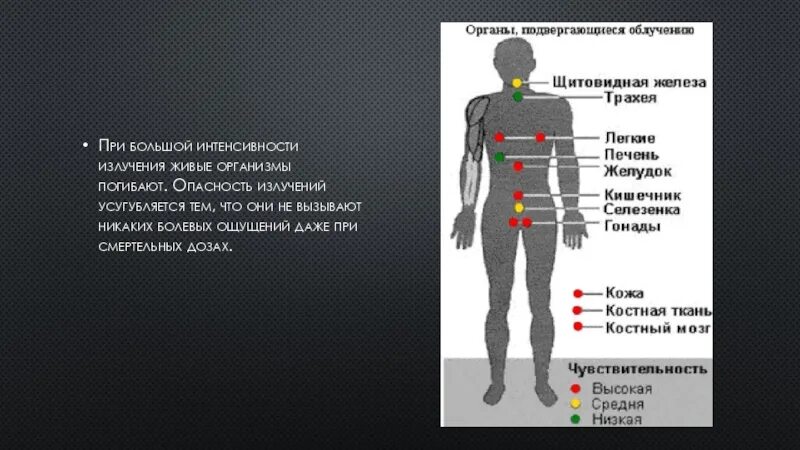 Опасным излучением для человека является. Влияние ионизирующей радиации на живые организмы. опасности от излучения. чувствительность к радиации. опасность радиации для человека.