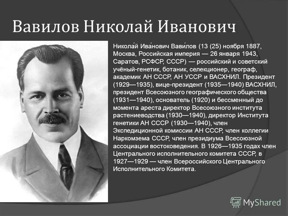 николай иванович вавилов (1887-1943). 1943). известные генетики селекционеры. 1887 — 1943 николай вавилов русский генетик, селекционер. (1887-1943).
