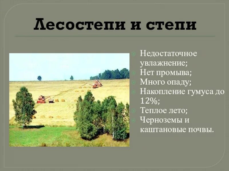 Почвы лесостепи. Лесостепи и степи почва. Почвы лесостепи в России. Почка степь лесостепь. Почему лесостепи и степи относятся