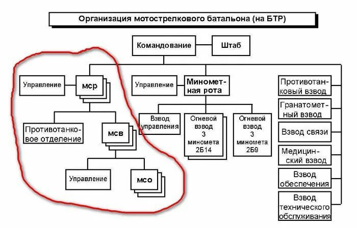 Военная организация ведающая хозяйственным снабжением. Организационно-штатная структура мотострелкового батальона РФ. Организационно-штатная структура мотострелкового взвода вс РФ. Организационно штатная структура МСБ вс РФ.