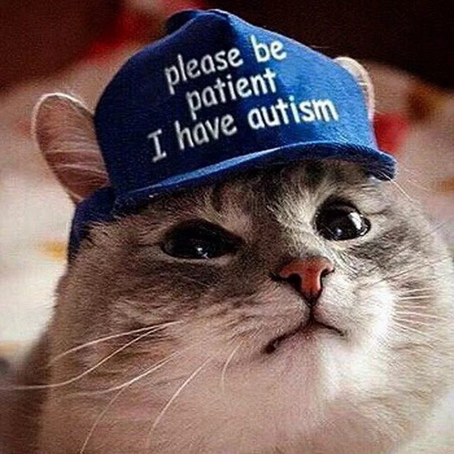 Please be patient i have. Please be patient i have autism кот. кот в кепке. кот в фуражке. у меня аутизм.