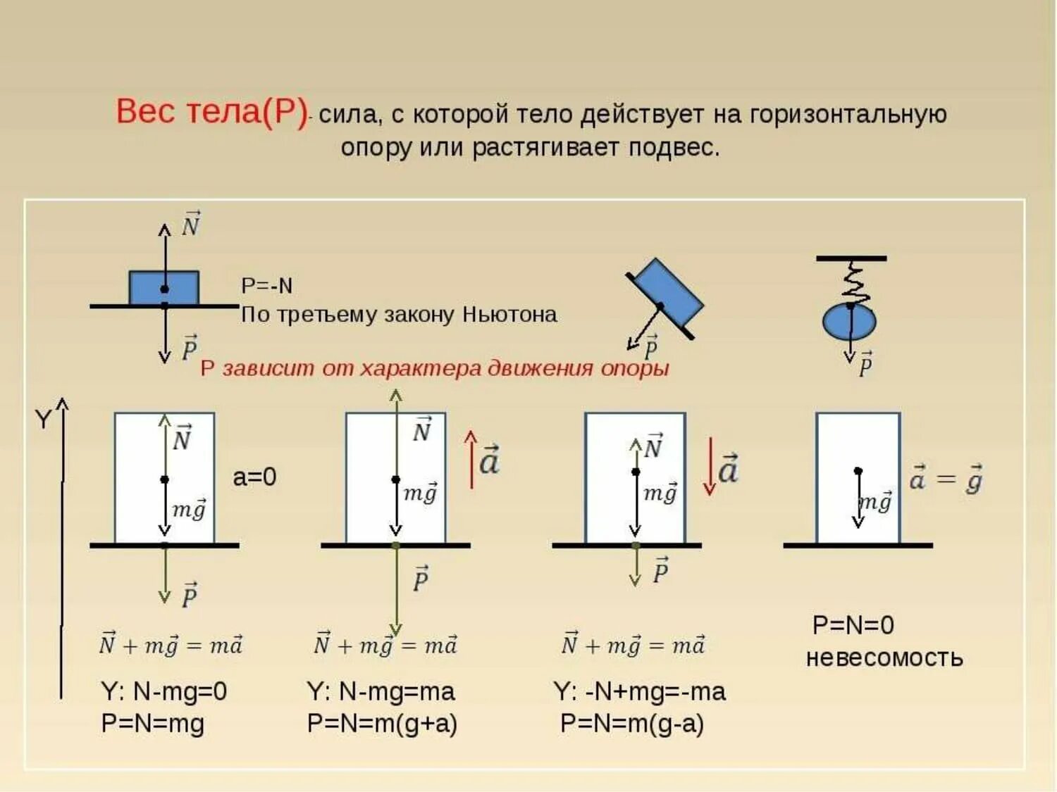 Направление сил действующих на тело. Вес тела формула физика. Модуль веса тела формула. Формула для расчета веса тела физика. Как определить вес тела физика формула.