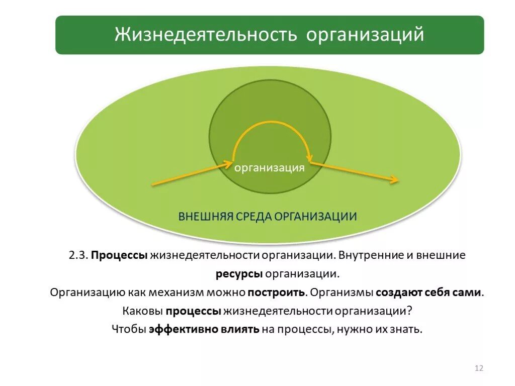 Три признака жизнедеятельности. Жизнедеятельность предприятия. Процессы жизнедеятельности организации. Основополагающие процессы жизнедеятельности организации. Из каких основных процессов состоит жизнедеятельность организации?.