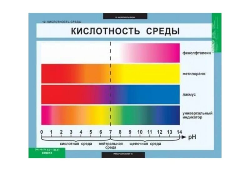 Болезни при кислотности. Шкала индикаторной бумаги лакмусовой. Шкала кислотности PH. Шкала кислотности PH почвы. Шкала кислотности PH воды.