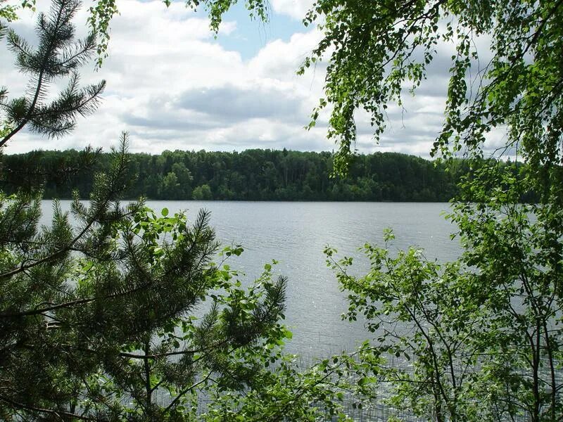 Придумать название озера. Валдайское озеро. Валдайское озеро Ивановская область. Озеро Лунево Валдай. Тверь озеро Валдайский.