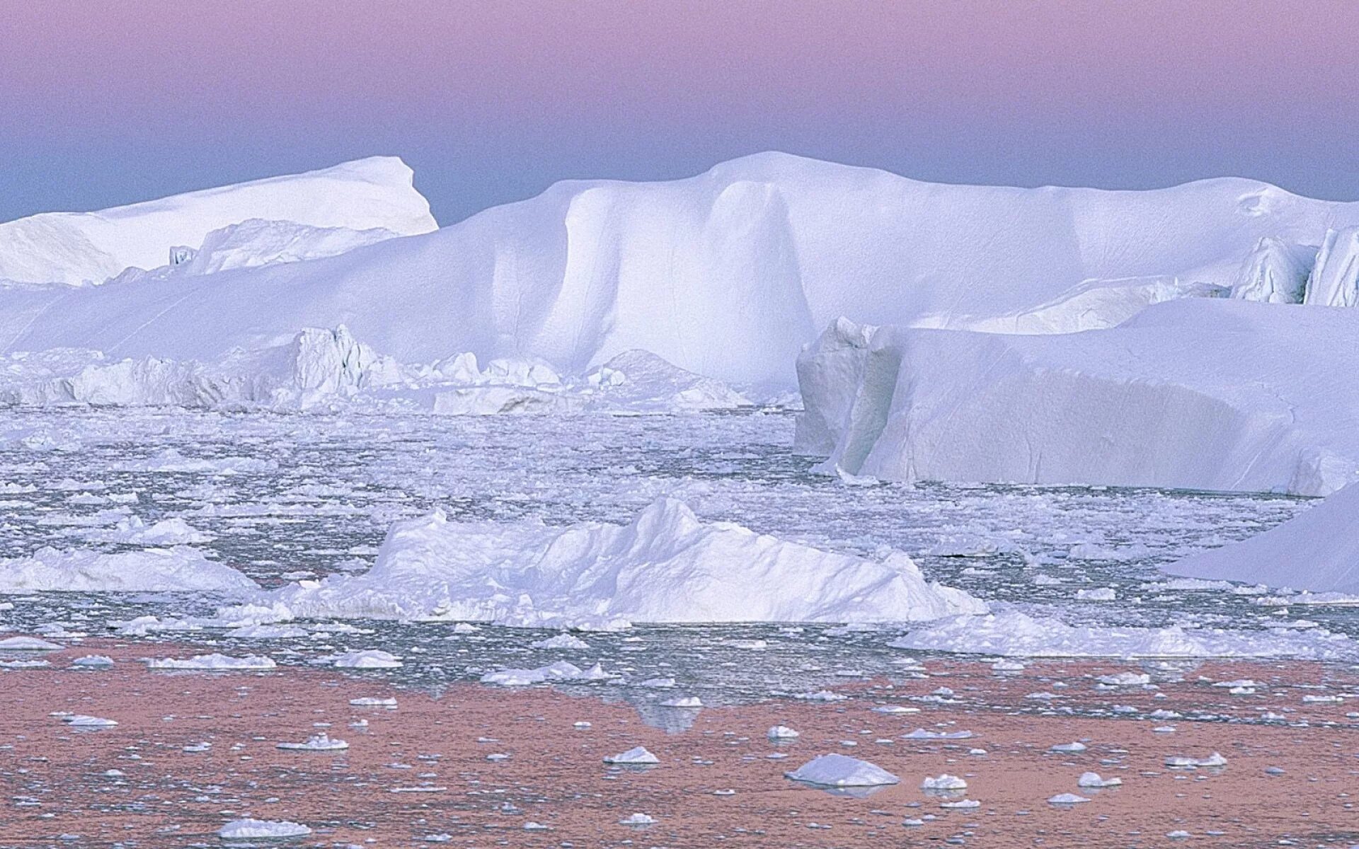 Арктические пустыни Канады. Зона арктических пустынь в Антарктиде. Телевизор Shivaki STV-50led42s. Зона арктических пустынь Северной Америки.