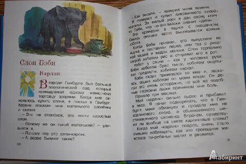 Рассказы о животных текст