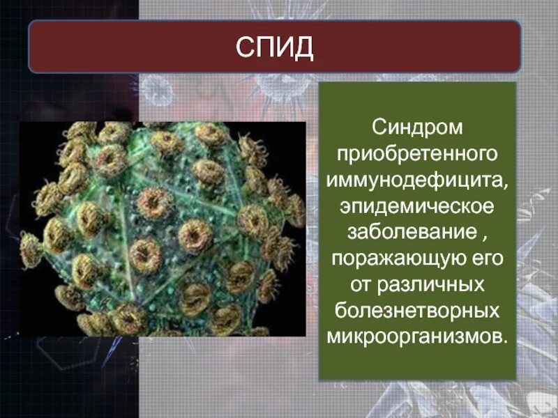 Вич биология. Неклеточные формы жизни. Форма жизни вирусов. Вирусы неклеточные формы. Неклеточные организмы.