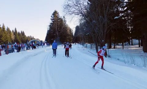 Лыжные трассы пермь