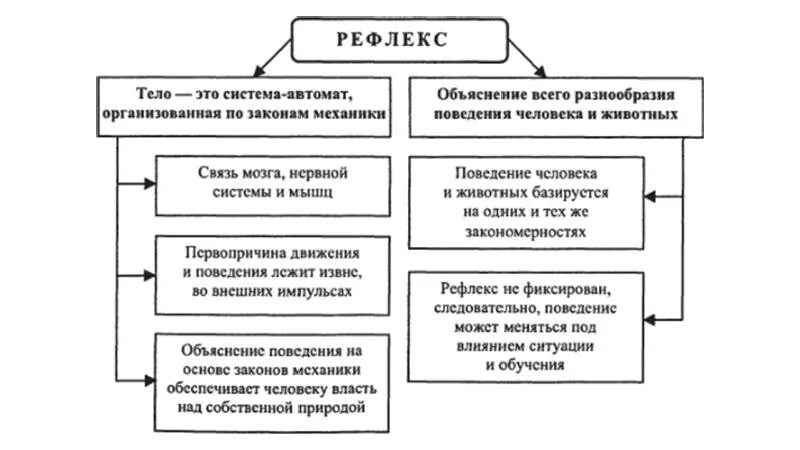 Р рефлекс. Учение р. Декарта о рефлексе.. Декарт рефлекс. Рефлекторная теория Декарта. Схема рефлекса Декарта.