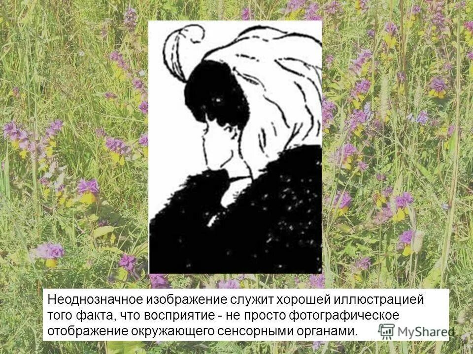 мексиканский художник октавио окампо картины. метаморфические картины октавио окампо. октавио окампо художник картины 2022. октавио окампо мексиканский художник. неоднозначные темы.