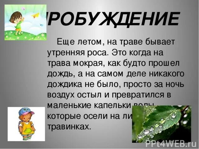 Текст песен утренняя роса. Что бывает утренним. Роса это для начальной школы. Роса бывает только утром!. Утренняя роса цитаты.