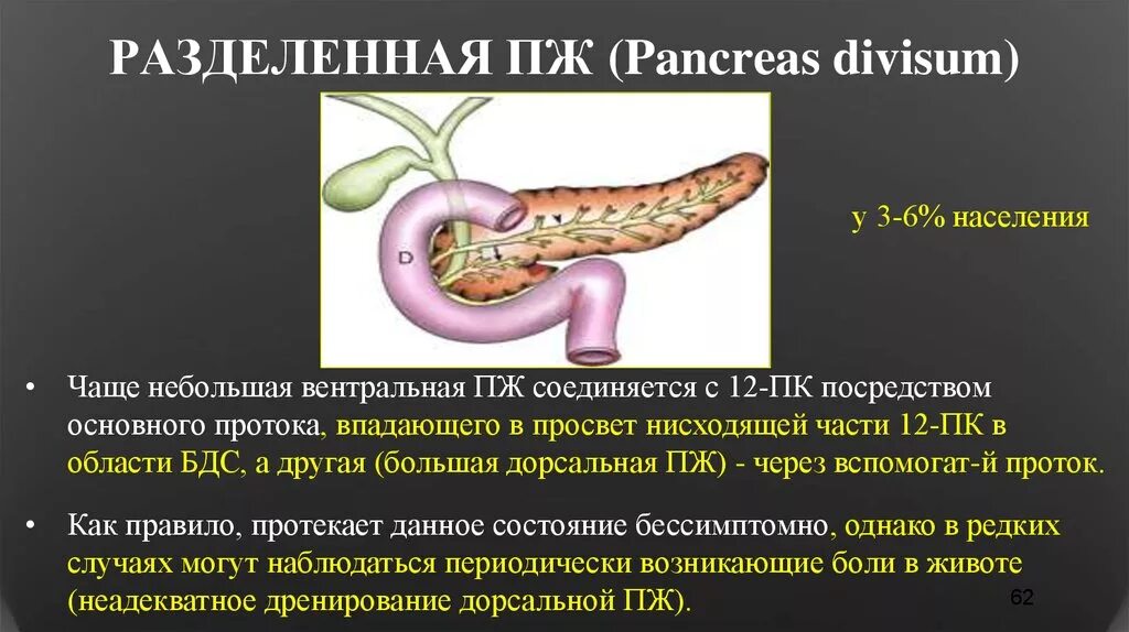 Поджелудочная железа изменения неспецифического характера. Divisum поджелудочной железы. Удвоенная поджелудочная железа. Расщепление поджелудочной железы. Аннулярная поджелудочная железа.