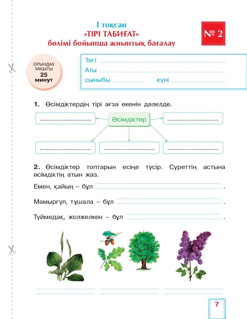 2 сынып тест тапсырмалар. 2 "А" сынып. 2 Сынып тест. БЖБ тест бағалау. Жаратылыстану 4 б сынып тест.