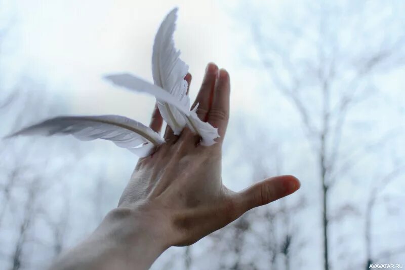 Держаться крыльями. Руки Крылья. Ладони Крылья. Человек с крыльями на руках. Ангельская Эстетика.