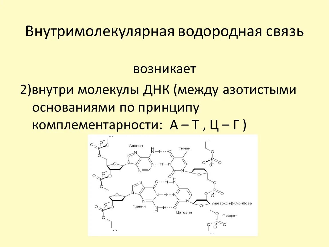 Образования межмолекулярной водородной связи. Межмолекулярная и внутримолекулярная водородная связь. Водородная химическая связь межмолекулярная и внутримолекулярная. Межмолекулярные водородные связи уксусной кислоты. Межмолекулярные водородные связи в гетероциклических соединениях.