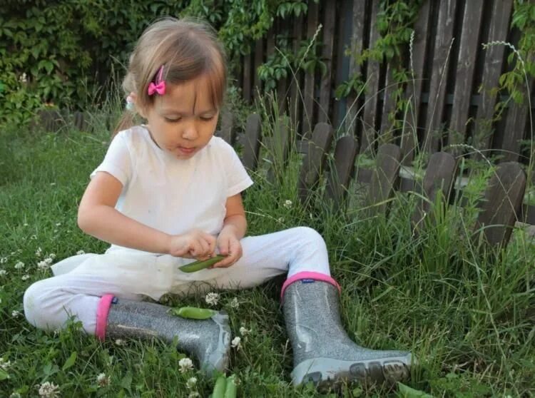 цветущие деревья в аптекарском огороде в москве сейчас. садовник. яблоневый сад мгу. почему стоит садовое сейчас.