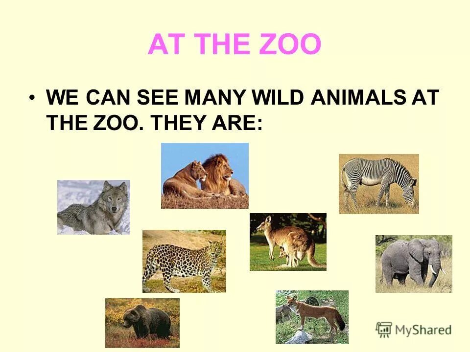 текст с жаргонизмами. диалог на тему животные. диалог на тему животные. составление диалогов на английском языке.