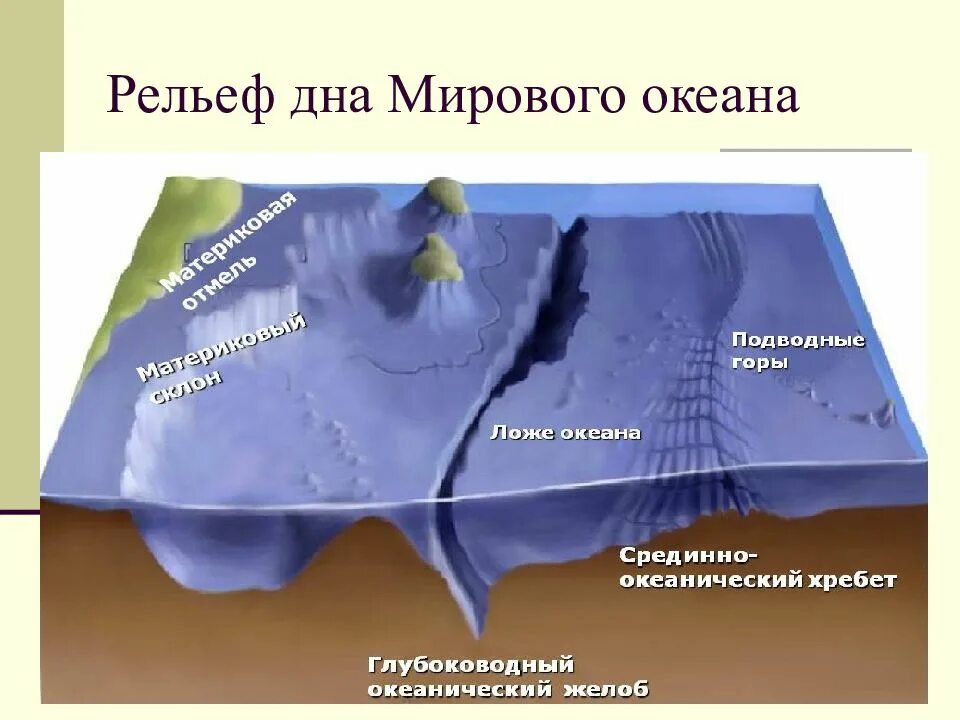 Основные формы рельефа океана. Формы рельефа дна мирового океана. схема рельефа океанического дна. рельефа дна мирового океана глубоководный жёлоб. рельеф дна мирового океана рисунок.