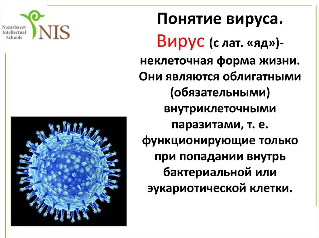 Особенности вирусов микробиология. Вирусы микробиология. Морфология вирусов. Формы вирусов.