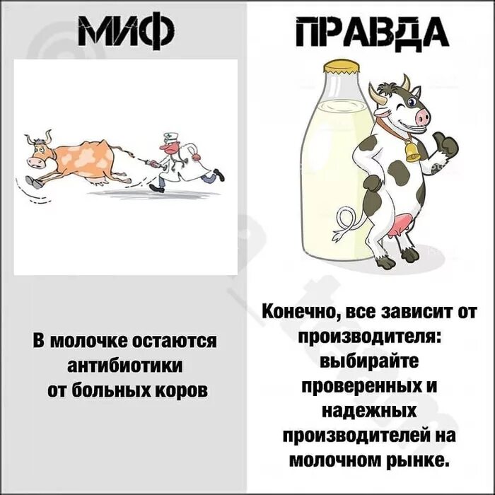 Мифов о том каким