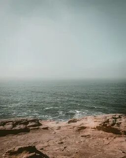 У самого серого моря