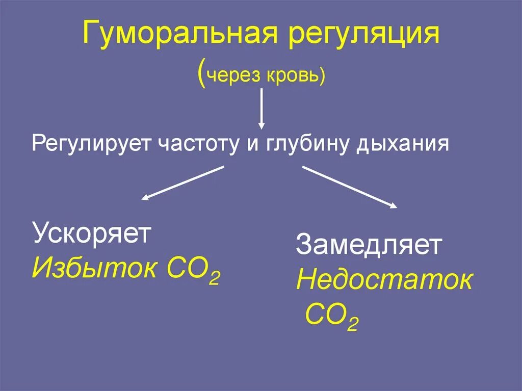 Гуморальный путь регуляции. Гумлралтная пегуояция. Гумоллярная регуляция. Гумаральный регуляция. Гумлральная регклыуиы.